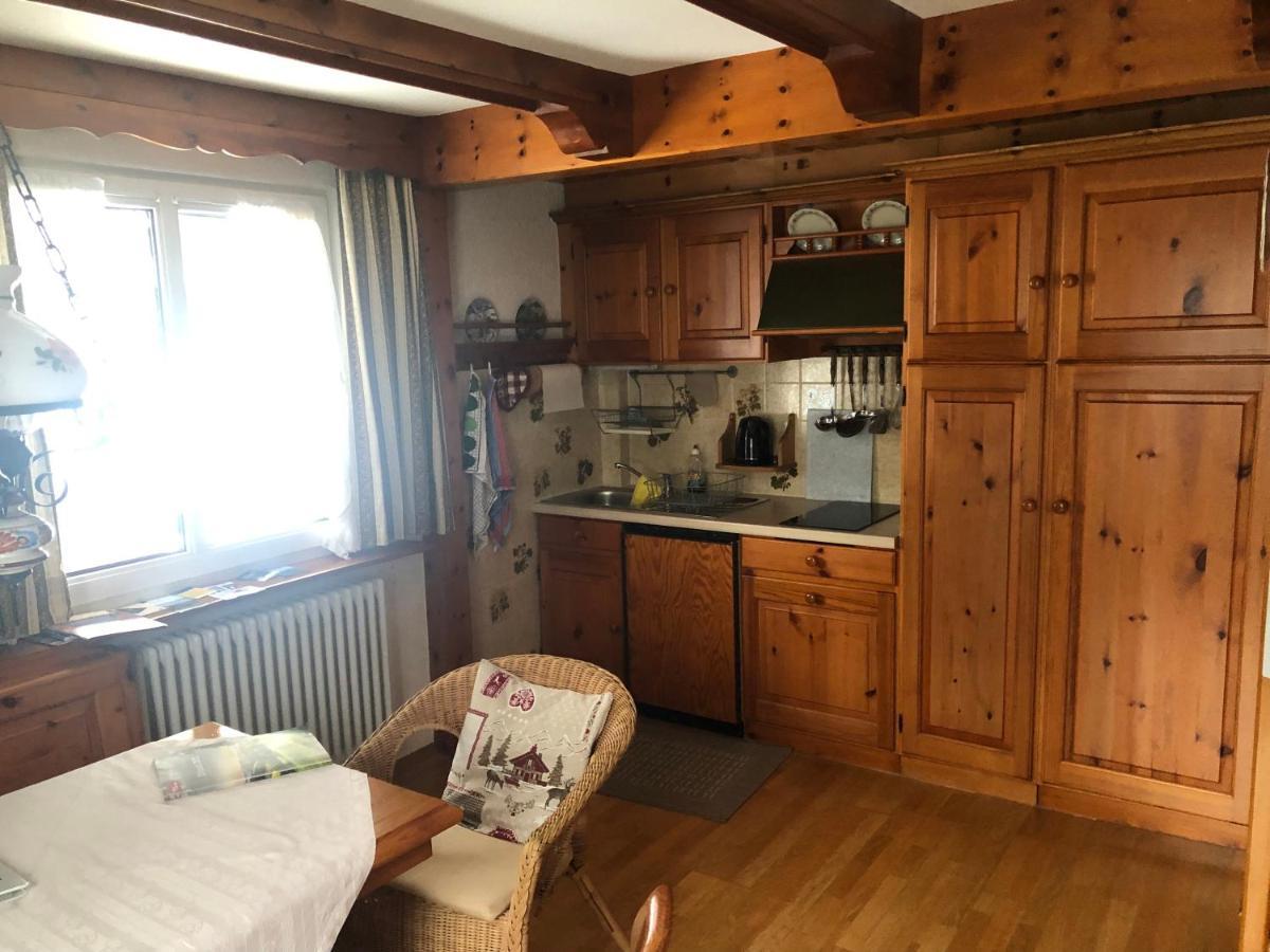Gaestehaus Lickert Ferienwohnung Sued Feldberg Хинтерцартен Екстериор снимка